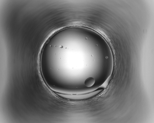 X0000096451392200801241410