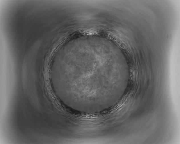 X0000096451393200801241409