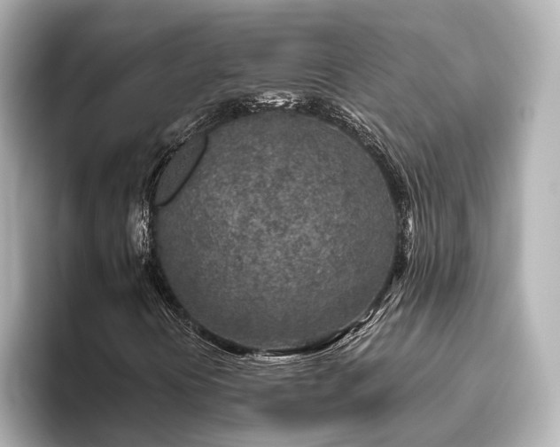 X0000096451394200801241409