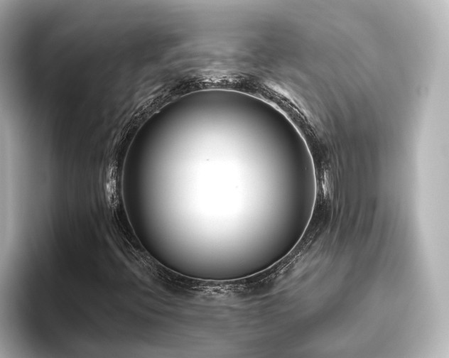 X0000096451396200801241409