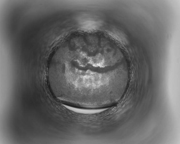 X0000096451397200801241409