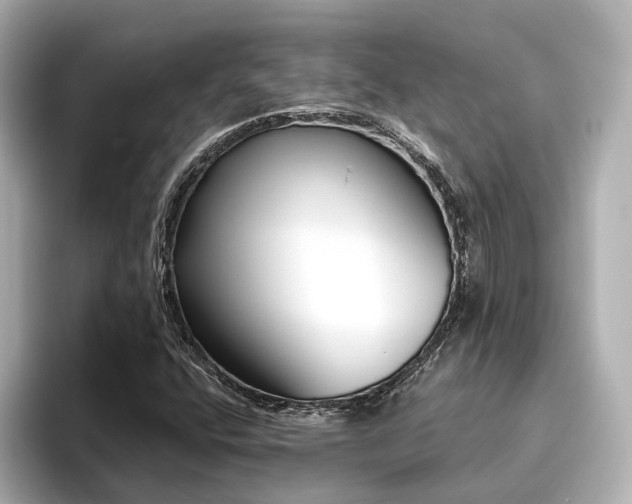 X0000096451400200801241409