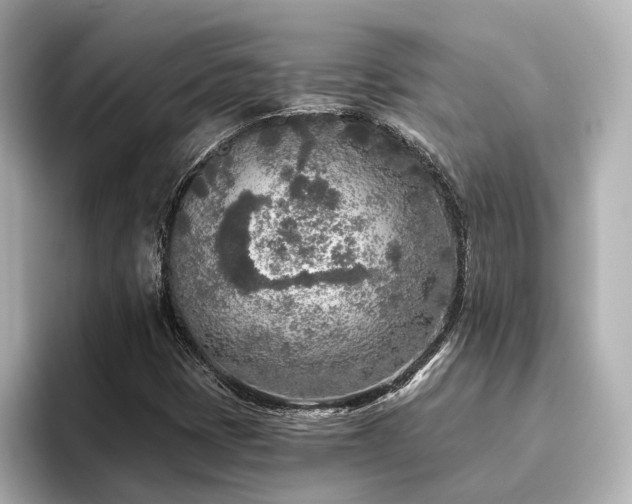 X0000096451401200801241409