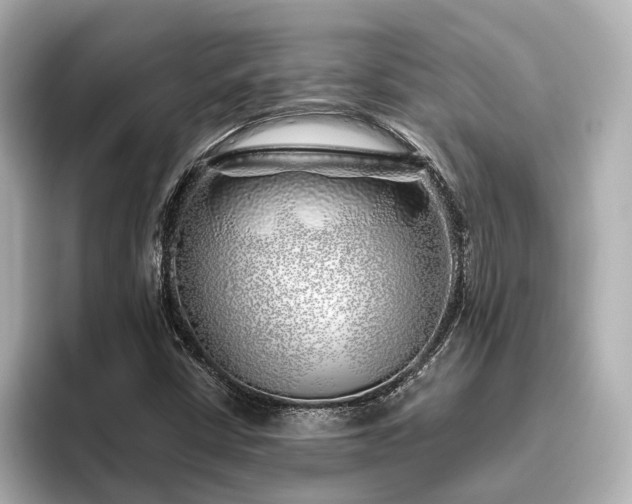 X0000096451402200801241409