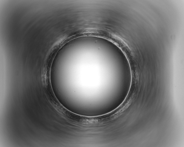 X0000096451403200801241409