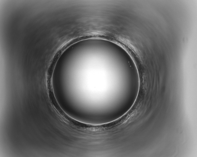 X0000096451404200801241409