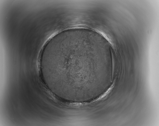 X0000096451405200801241409
