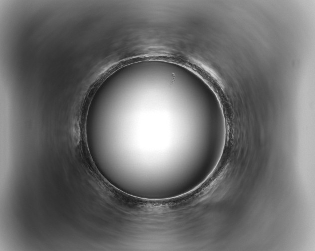 X0000096451407200801241409