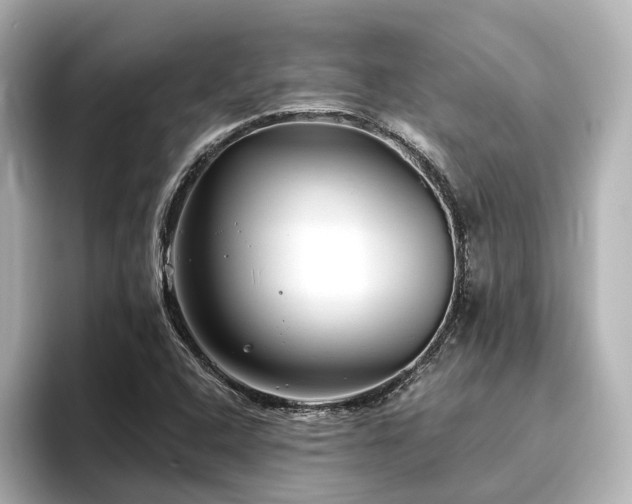 X0000096451408200801241409