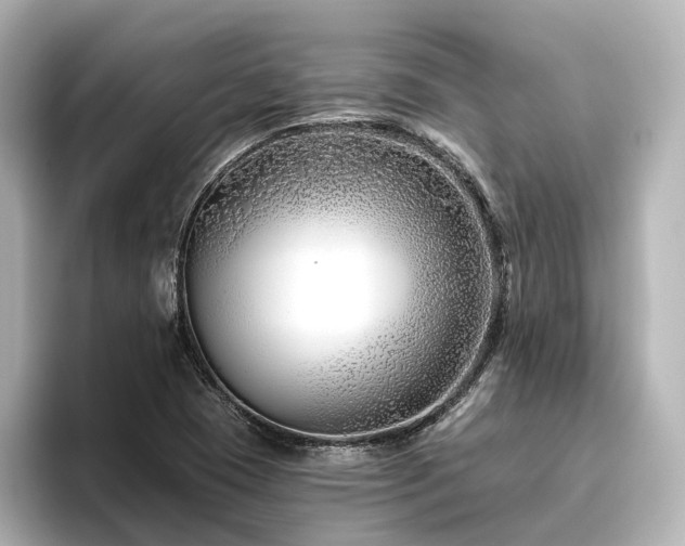 X0000096451409200801241409