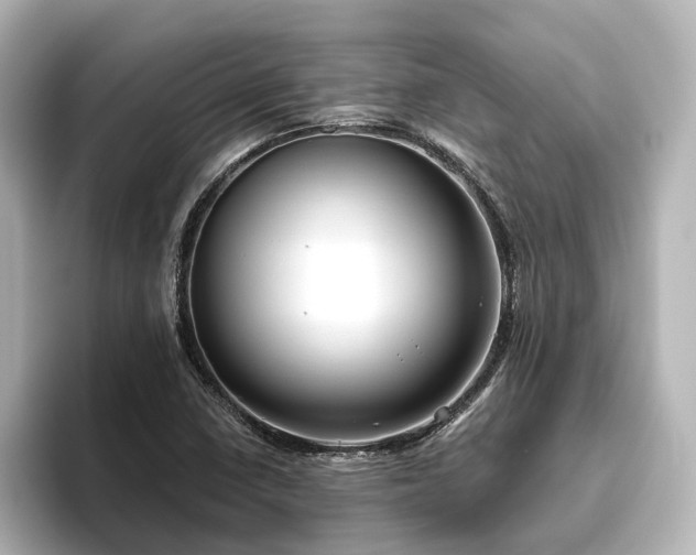X0000096451410200801241409