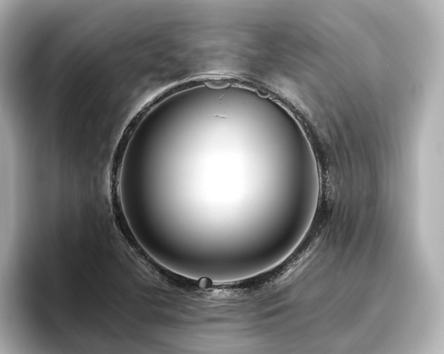 X0000096451412200801241409