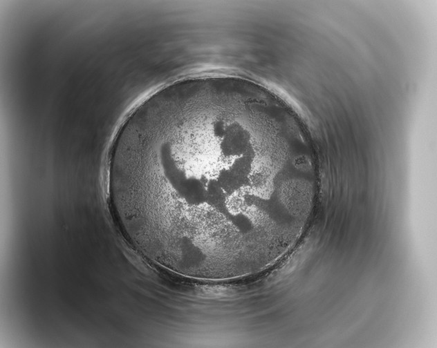X0000096451413200801241409