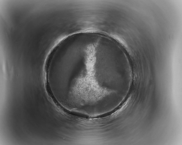 X0000096451414200801241409