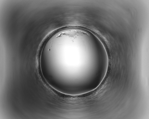 X0000096451416200801241409