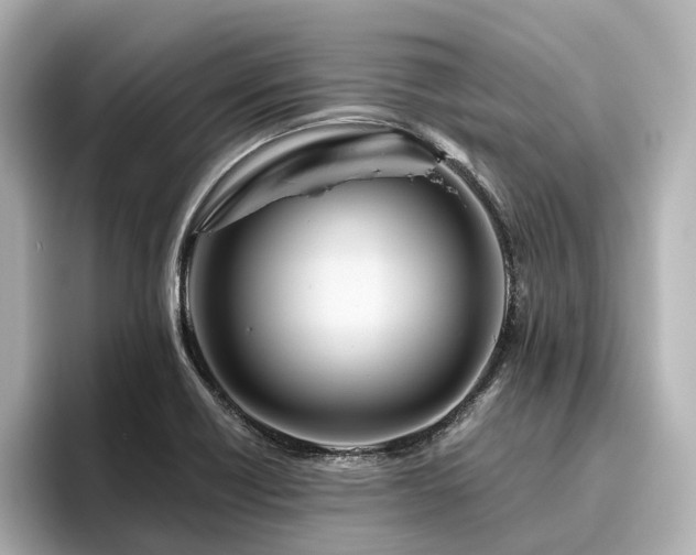 X0000096451418200801241409