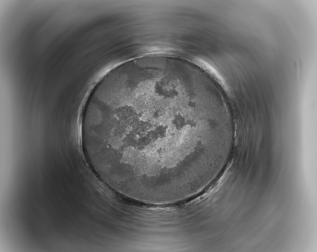 X0000096451419200801241409