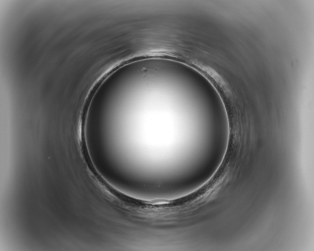 X0000096451420200801241409