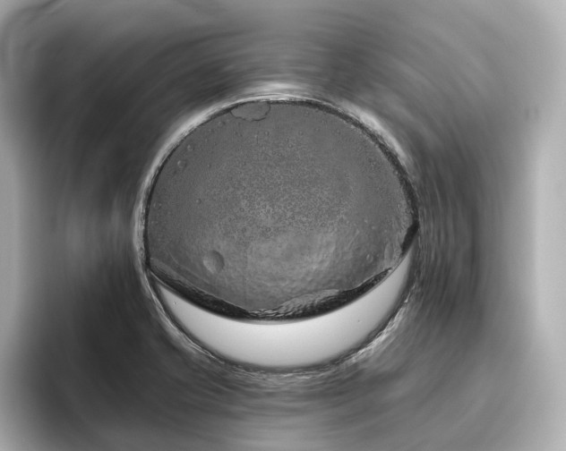 X0000096451421200801241409