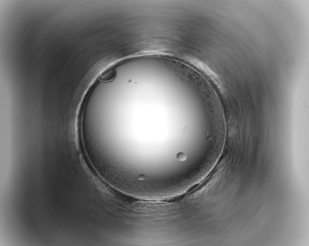X0000096451423200801241409