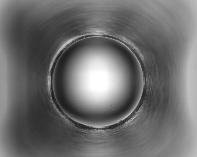 X0000096451424200801241409
