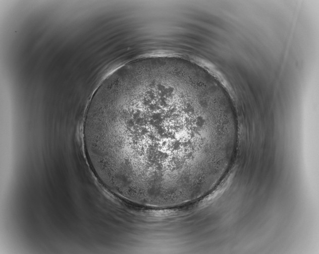 X0000096451425200801241409