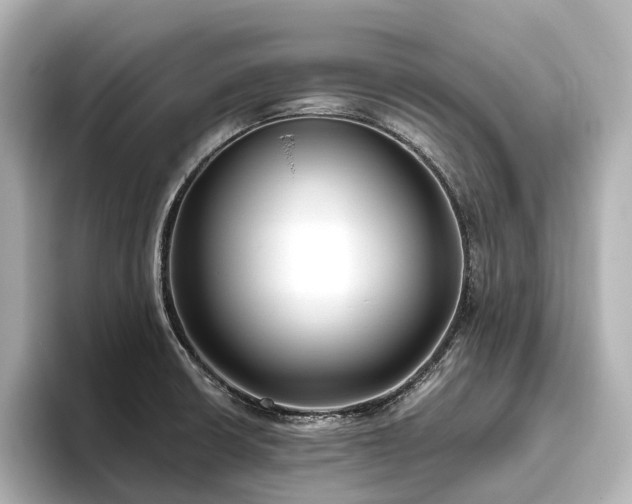 X0000096451426200801241409