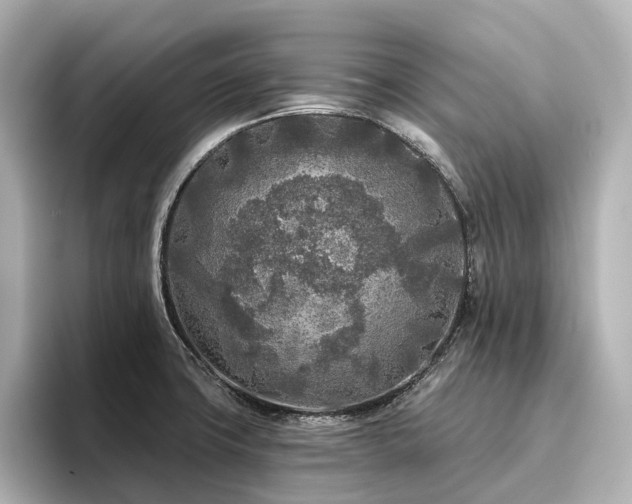 X0000096451427200801241409