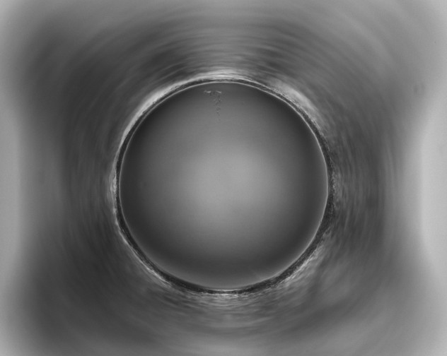 X0000096451428200801241409
