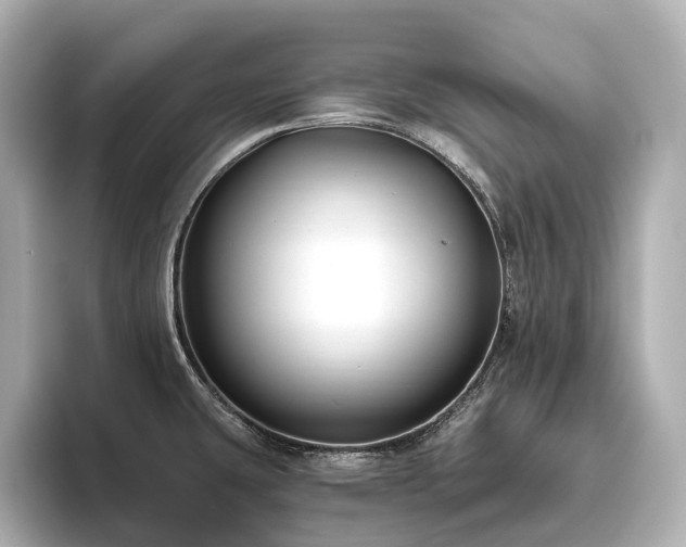 X0000096451431200801241410
