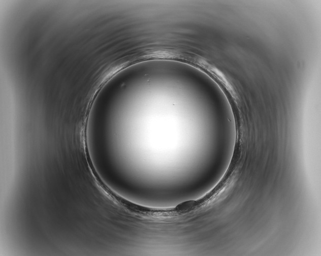 X0000096451433200801241410