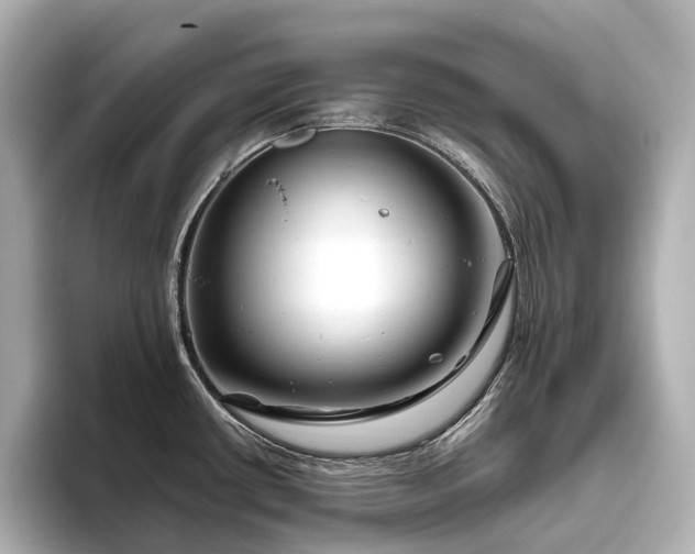X0000096451434200801241410