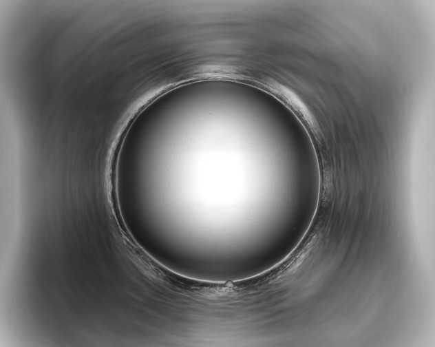 X0000096451435200801241410