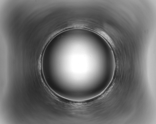 X0000096451436200801241410