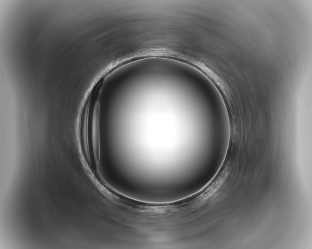 X0000096451438200801241410