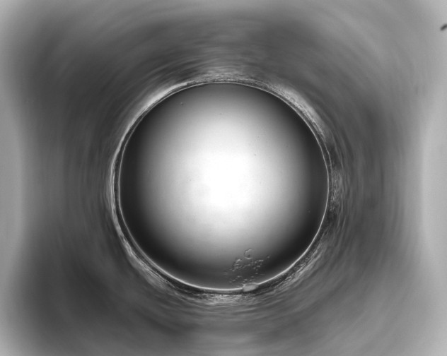 X0000096451439200801241410