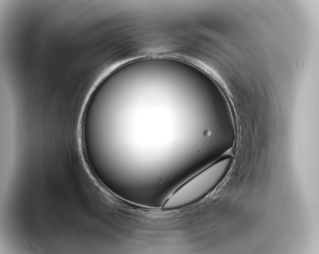 X0000096451440200801241410