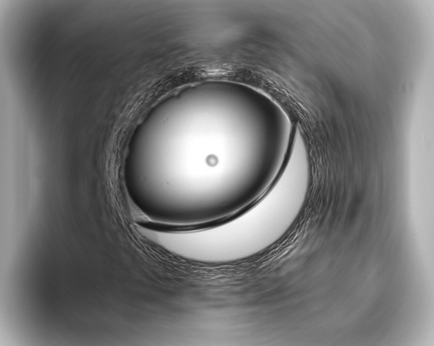 X0000096451441200801241409