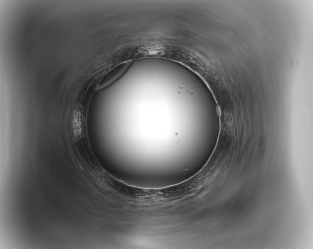 X0000096451442200801241409