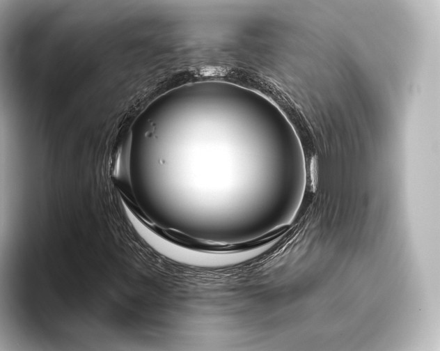 X0000096451443200801241409