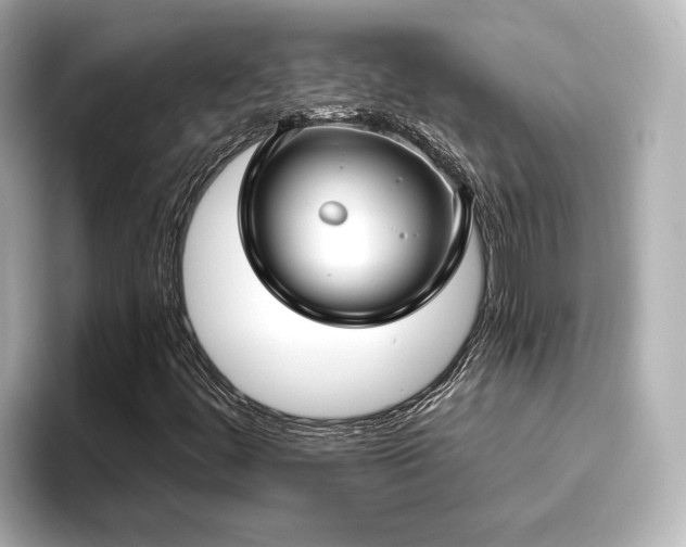 X0000096451444200801241409