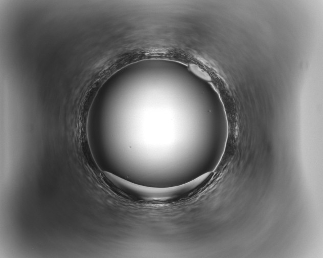 X0000096451445200801241409