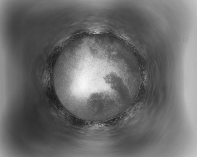 X0000096451446200801241409