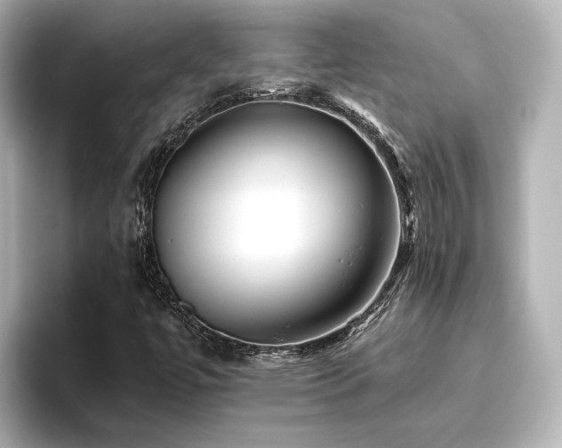X0000096451447200801241409