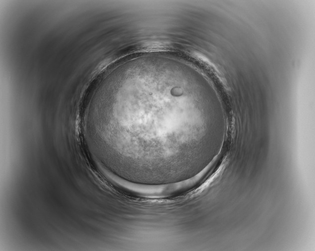 X0000096451449200801241409