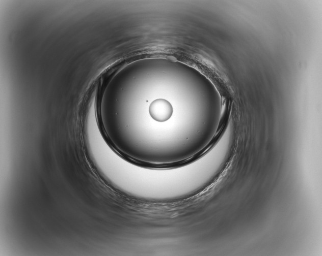 X0000096451450200801241409