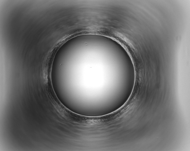 X0000096451451200801241409
