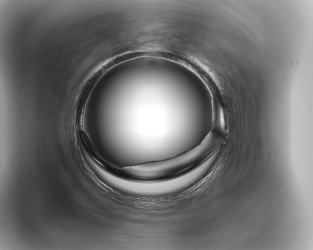 X0000096451452200801241409