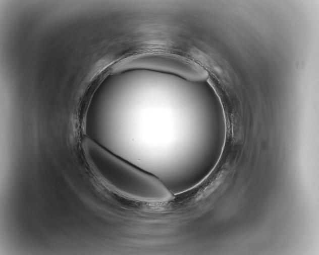 X0000096451453200801241409