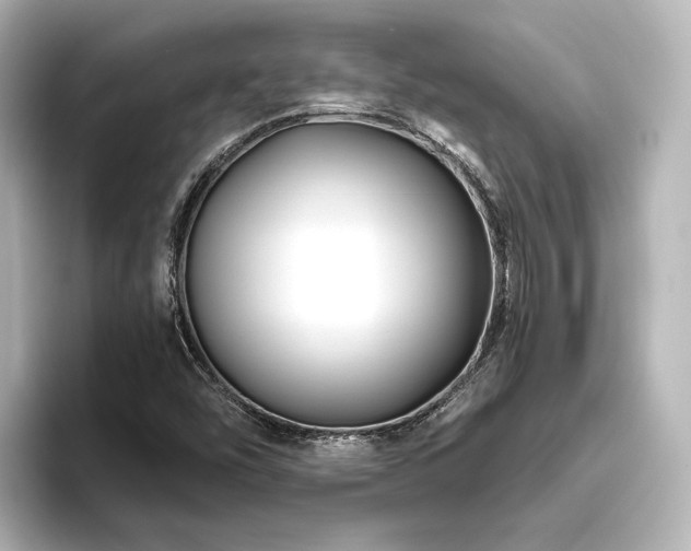 X0000096451454200801241409